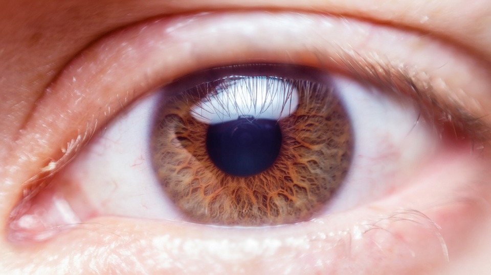 Photo of One out of three people with uncontrolled diabetes develop diabetic retinopathy: Study