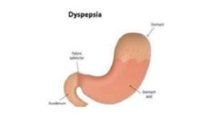 Photo of SRL Diagnostics launches gastro panel test for Dyspepsia