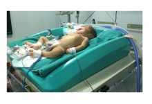 Photo of UK-based The Rodnight Partnership ties up with PLUSS for neonatal cooling device MiraCradle