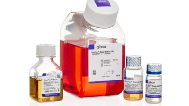 Photo of Thermo Fisher Scientific introduces tumoroid culture medium to accelerate development of novel cancer therapies