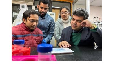 Photo of IIT Kanpur’s research offers new hope in cancer and brain disorders 