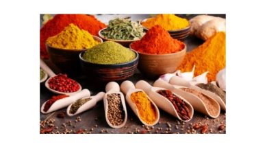 Photo of IIT-Madras researchers patent use of Indian spices to treat cancer